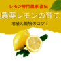 レモン農家直伝無農薬レモンの育て方・地植え栽培のコツ！