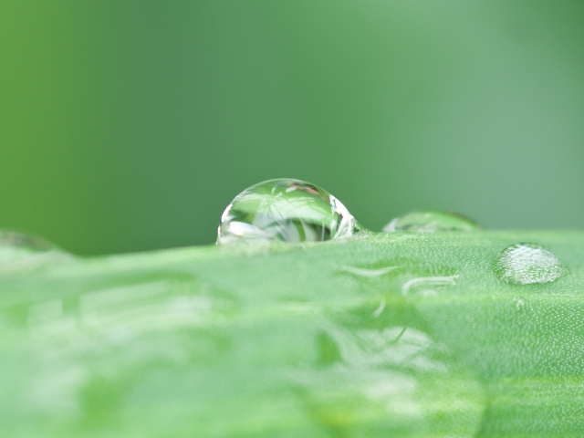 雨量計