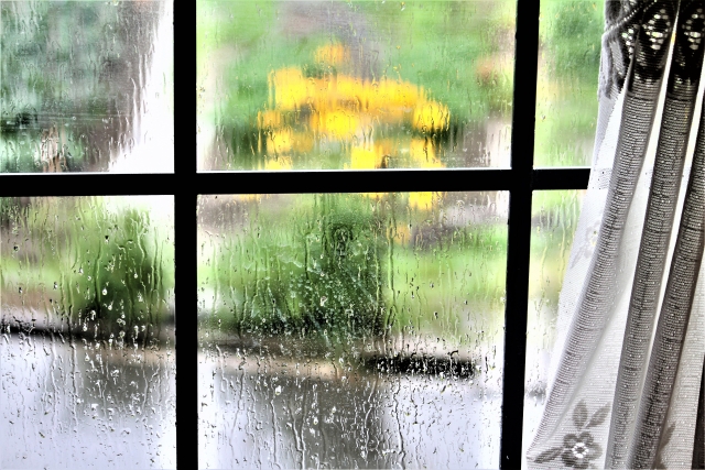 雨の窓