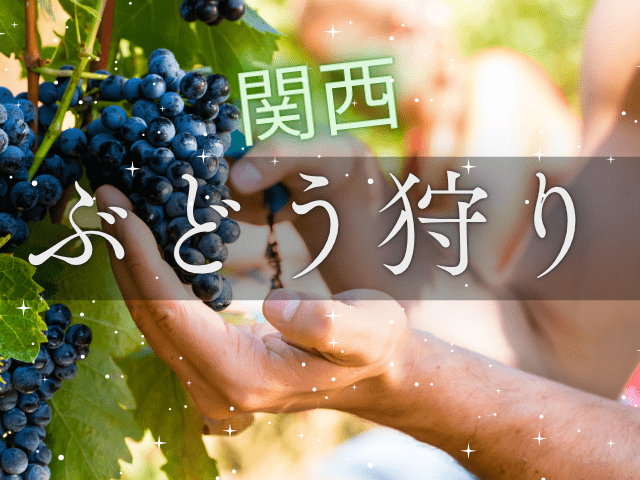 関西ぶどう狩り