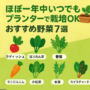 ほぼ一年中いつでもプランターで栽培OK！おすすめ野菜7選と作り方のコツ