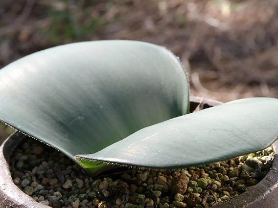 6ff6e31690c2744a2045889d8f75fa