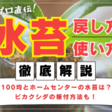 【プロ直伝】水苔の戻し方や使い方を徹底解説