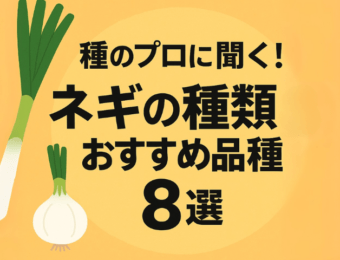 種のプロに聞く！ネギの種類とおすすめ品種8選