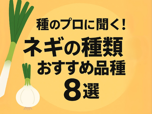 種のプロに聞く！ネギの種類とおすすめ品種8選