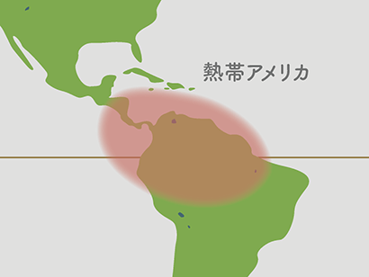 シンゴニウム原産地地図