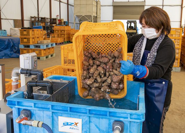 洗いにくい根菜を楽々・きれいに洗浄！二流体根菜洗浄機の費用対効果は