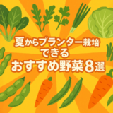 夏からプランター栽培できるおすすめの野菜8選