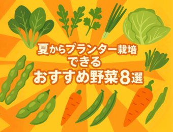 夏からプランター栽培できるおすすめの野菜8選