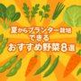 夏からプランター栽培できるおすすめの野菜8選