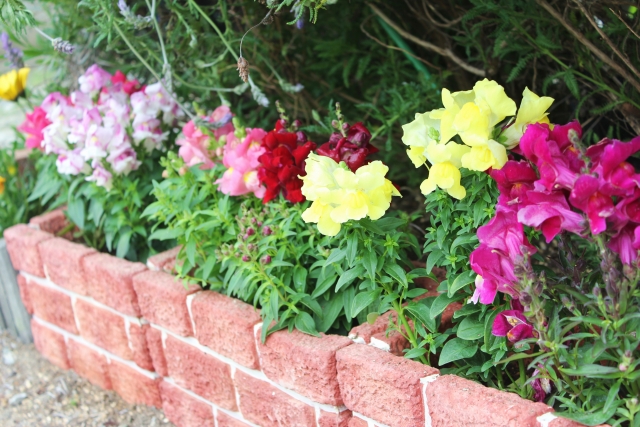 おしゃれな花壇ブロック