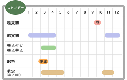 キンモクセイ栽培カレンダー