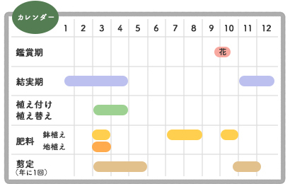 キンモクセイ栽培カレンダー