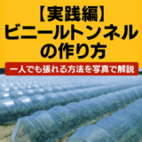 【実践編】ビニールトンネルの作り方|一人でも張れる方法を写真で解説