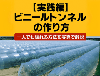 【実践編】ビニールトンネルの作り方|一人でも張れる方法を写真で解説