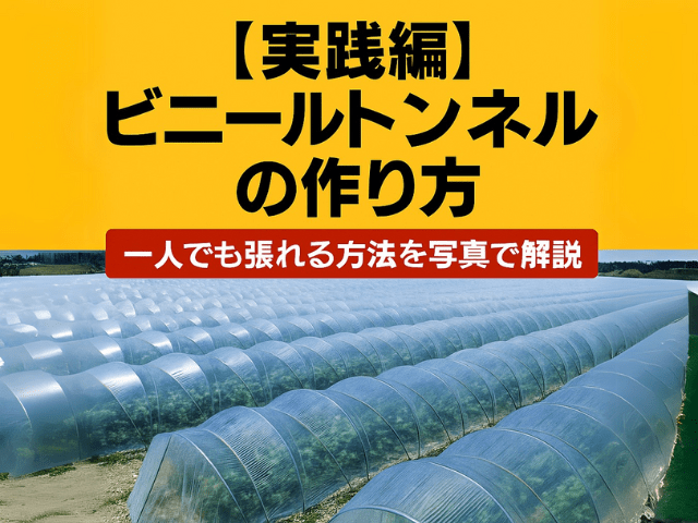 【実践編】ビニールトンネルの作り方|一人でも張れる方法を写真で解説