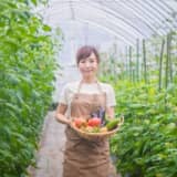 近郊農業