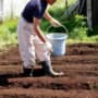 肥料をまく男性