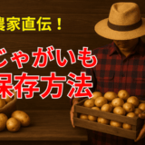 農家直伝！じゃがいもの保存方法