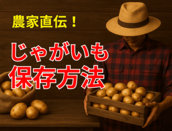 農家直伝！じゃがいもの保存方法