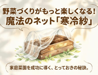 野菜づくりが楽しくなる魔法のネット寒冷紗