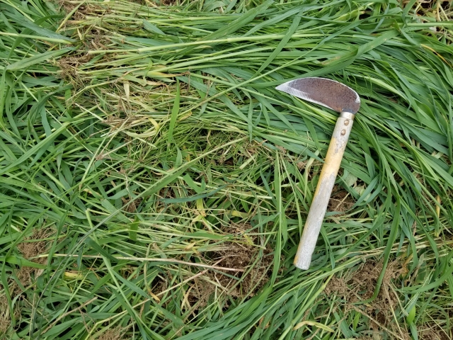 草刈鎌