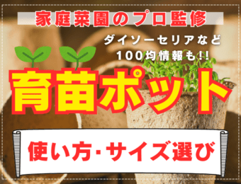【家庭菜園のプロが解説】育苗ポットの使い方やサイズ選び。ダイソーセリアなど100均情報も!!