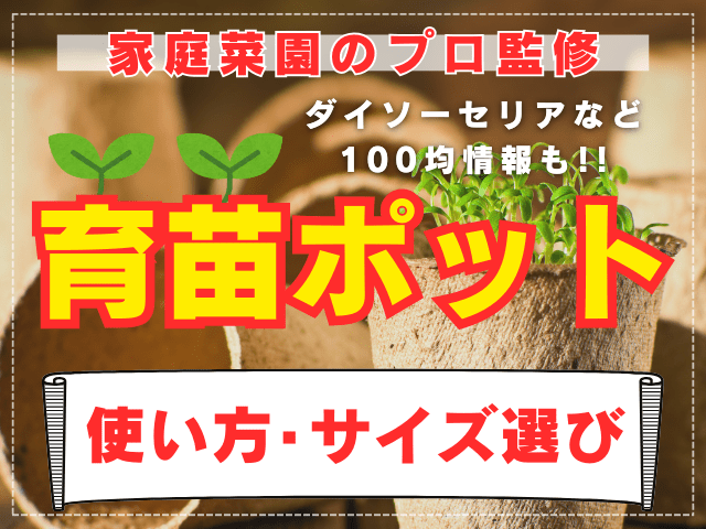 【家庭菜園のプロが解説】育苗ポットの使い方やサイズ選び。ダイソーセリアなど100均情報も!!