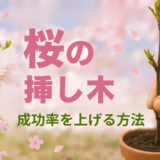 桜の挿し木成功率を上げる方法
