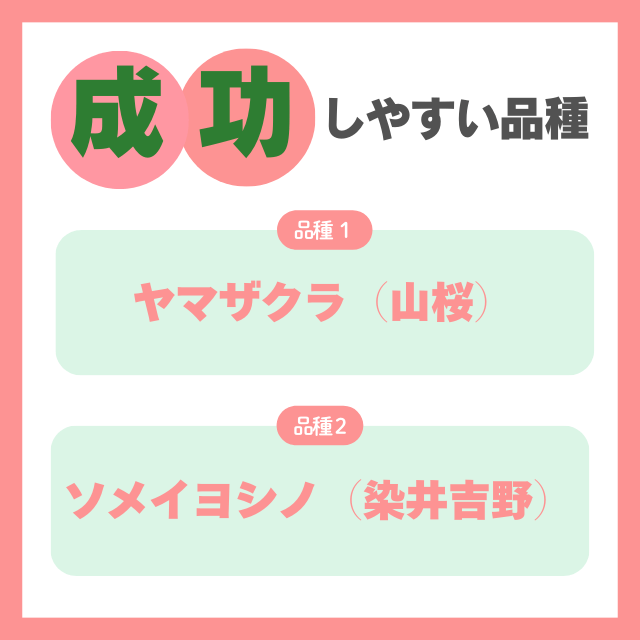 成功しやすい品種