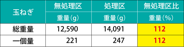 たまねぎ試験