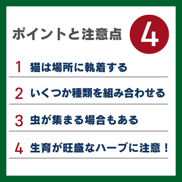 猫よけハーブポイントと注意点