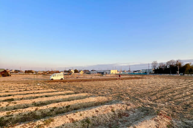 346FARMのじゃがいも畑