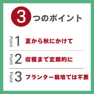 さつまいものつる返し３つのポイント