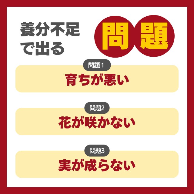 養分不足でおこる問題
