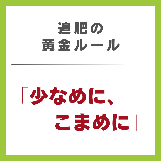 追肥の黄金ルール「少なめに、こまめに」