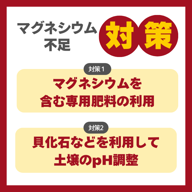 マグネシウム不足対策