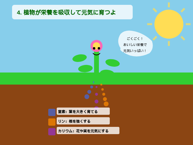 植物が栄養を吸収