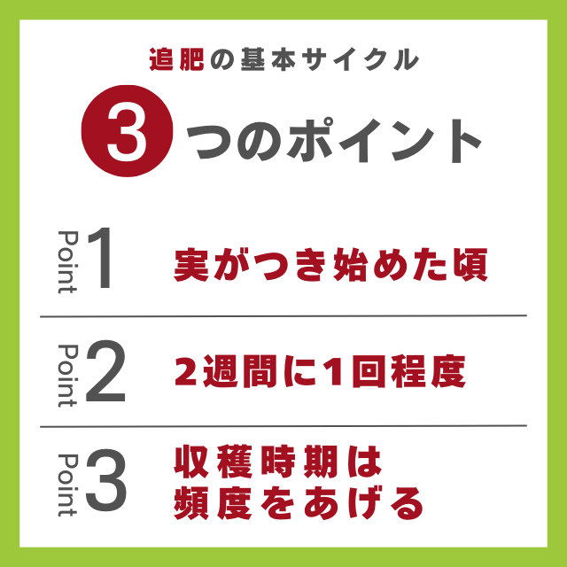 追肥の３つのポイント