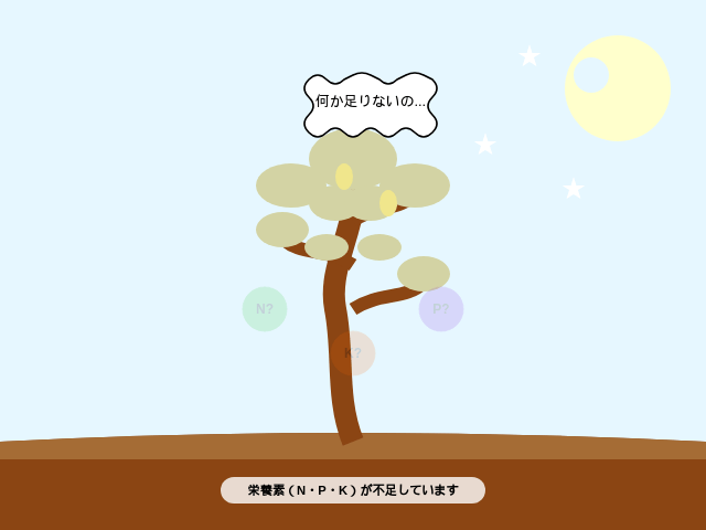 N・P・Kが不足しているレモンの木
