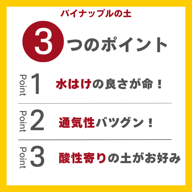 パイナップルの土３つのポイント