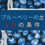 ブルーベリーの土、5つの条件