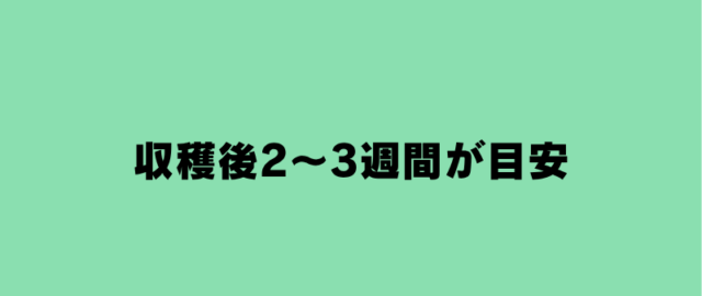 収穫後2～3週間が目安
