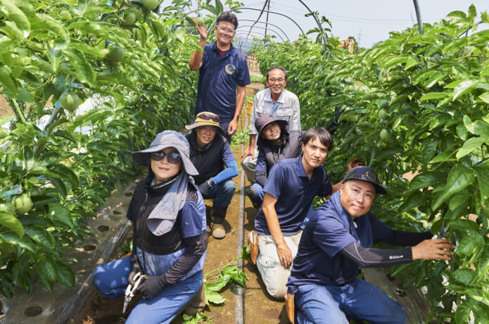 ほ場での作業