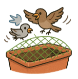 鳥害を避ける