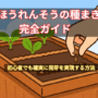 ほうれん草の種まき完全ガイドFV