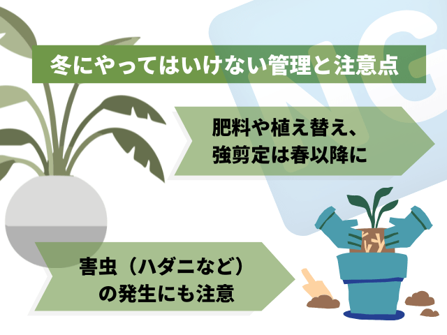 冬にやってはいけない管理と注意点
