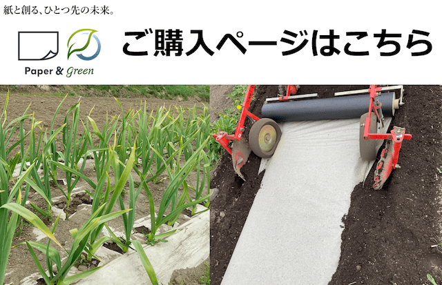 購入ページはこちら