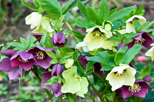 よくある質問（Q&A）