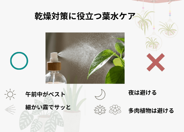 乾燥対策に役立つ葉水ケア